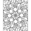 Day of The Dead Coloring Book Day of The Dead Coloring Book